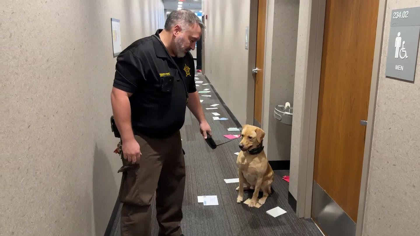 Goose and K-9 handler Travis Thorson search inmates' mail each day at the Hennepin County Adult Detention Center in Minneapolis.