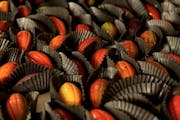 Minnesota-made bonbons win awards at international chocolate competition