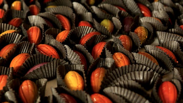 Meet the Minnesotan who makes some of the best chocolate in the world