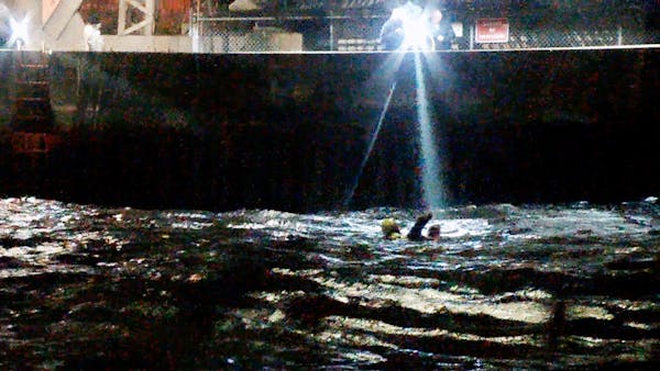 Duluth Fire Department rescues dog from ship canal