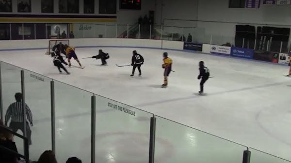Feb. 15 boys' hockey highlights