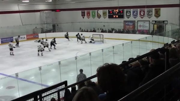 Feb. 8 boys' hockey highlights