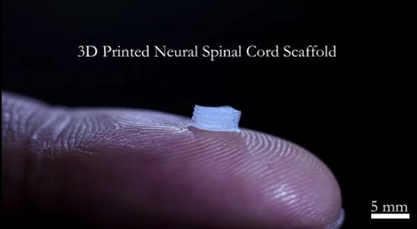 U of M engineers using 3-D printing for spinal cord repair