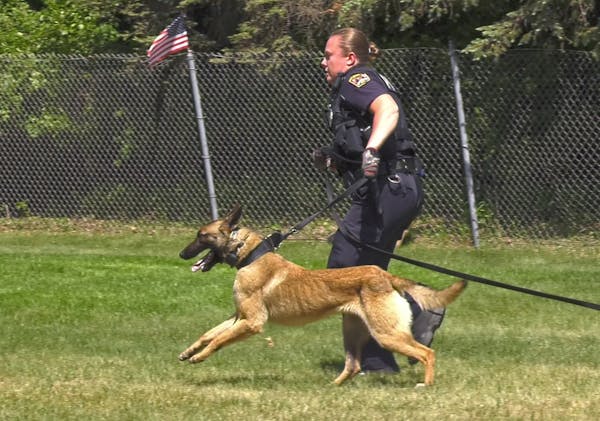 St. Paul police K-9 bite cases leave a trail of questions