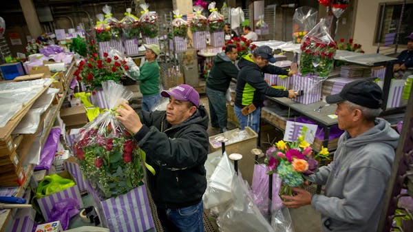 Bachman's buzzes as it prepares for Valentine's Day