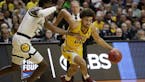 Gophers' transfer Willis a State Fair rookie but a veteran on the floor