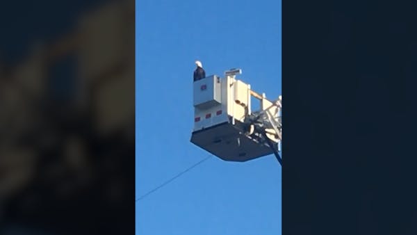 Bald eagle lands on aerial truck during 9/11 tribute