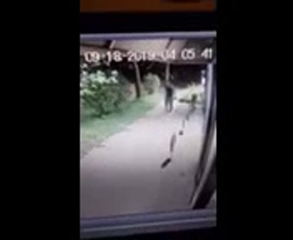 Surveillance video shows Seward vandal suspect throwing objects