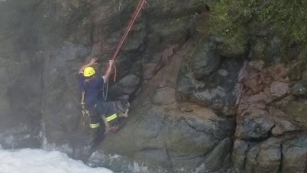 Firefighters rescue dog from bottom of 25-foot waterfall