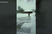 How icy is it? Watch Minnesotan expertly shovel driveway on hockey skates