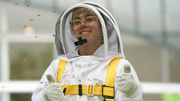 Beekeeper rises to the challenge in Minneapolis