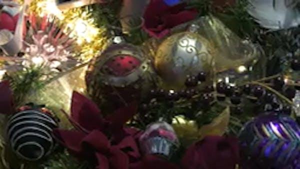 20 Christmas trees decorate one downtown Minneapolis condo