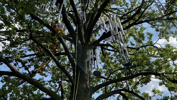 Beloved wind chime installation returns to Minneapolis Sculpture Garden