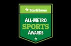 AMSA 2021: The big list. Star Tribune First Team All-Metro athletes