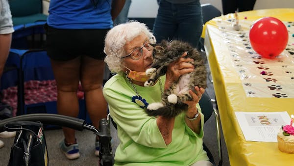 100-year old birthday party with cupcakes and kitties