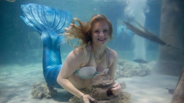 Childhood mermaid obsession becomes reality