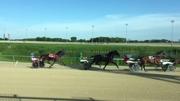 Harness race at Running Aces