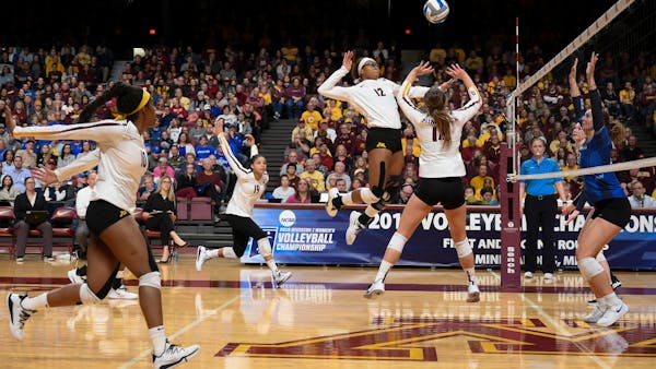 Gophers volleyball on heading to Final Four