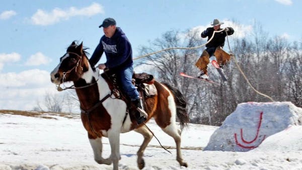 Skijoring – combining horses, cowboys, skiers and jumps – is coming to Canterbury Park in Shakopee