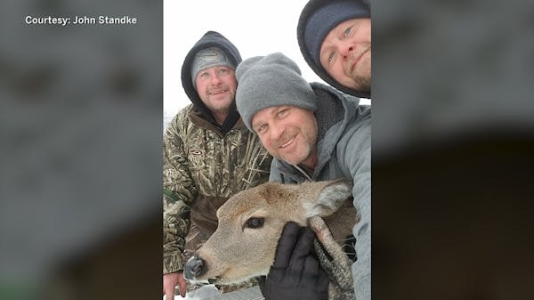 Watch three Faribault men rescue deer stranded on ice-covered Cedar Lake