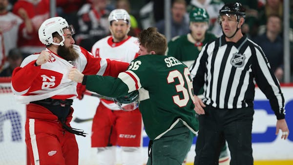Seeler fight helps spark Wild to win over Red Wings