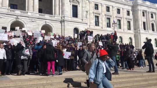 Students from St. Paul high schools gathered on the Capitol steps and chanted during a walkout in support of Florida Parkland high school Wednesday.
