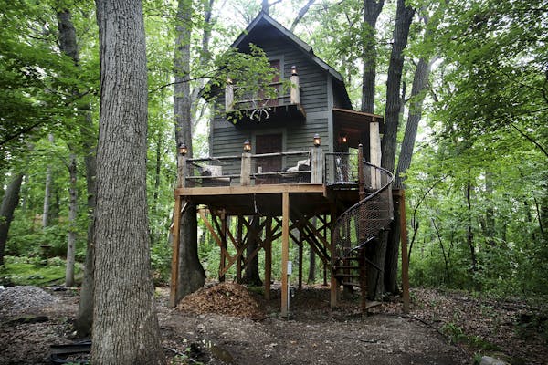 Magical treehouse is ultimate man cave
