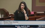 DFLer Maye Quade stages House floor sit-in, wants stronger gun laws