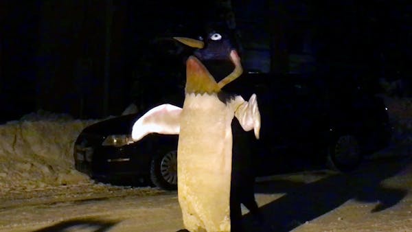 Giant glowing penguins will greet spectators at this year's Luminary Loppet