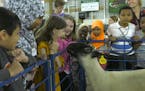 Hundreds of Minneapolis, St. Paul students get a lesson in farming, food