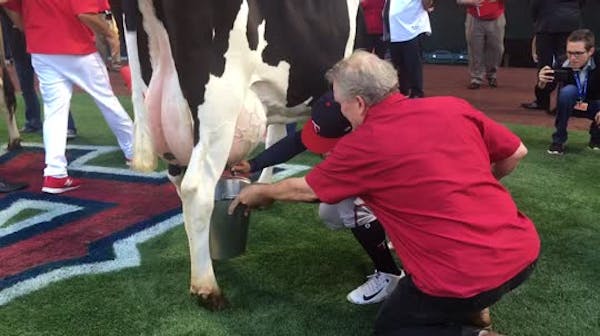 Eduardo Escobar loses in cow milking contest