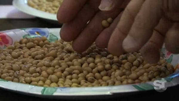 Soybean farmer turned exporter