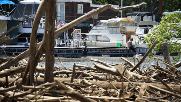 Log jam drives wedge between city and St. Paul Yacht Club