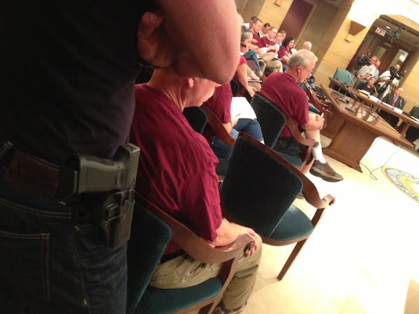 Special task force sets sights on guns in the Capitol