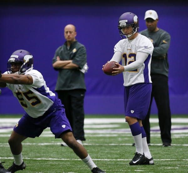 Vikings' punting battle might be over