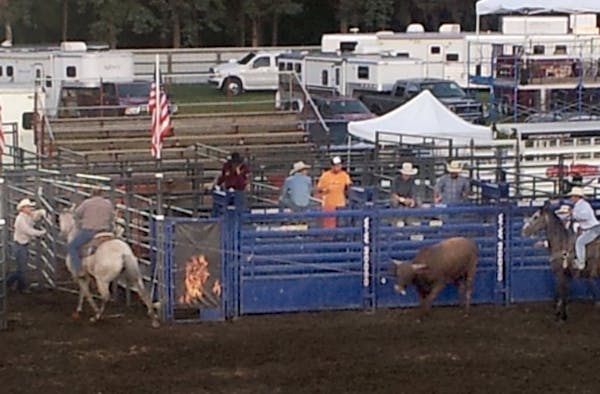StribCast: Loose bull tears through rodeo