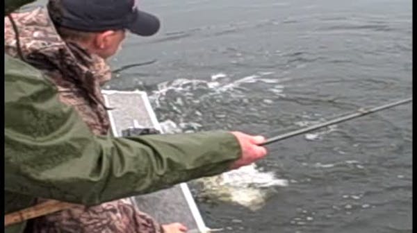 Ontario lake trout fishing trip
