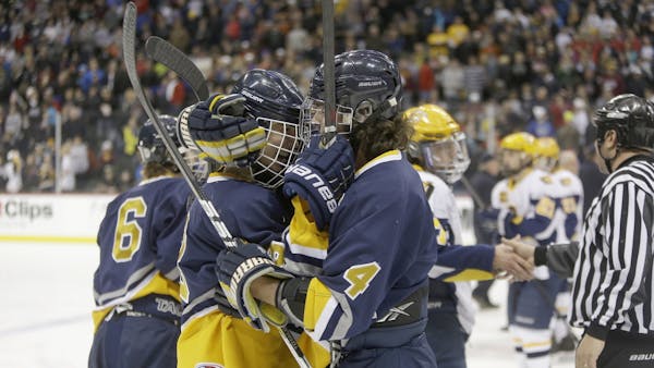 State boys' hockey: A look at today's finals