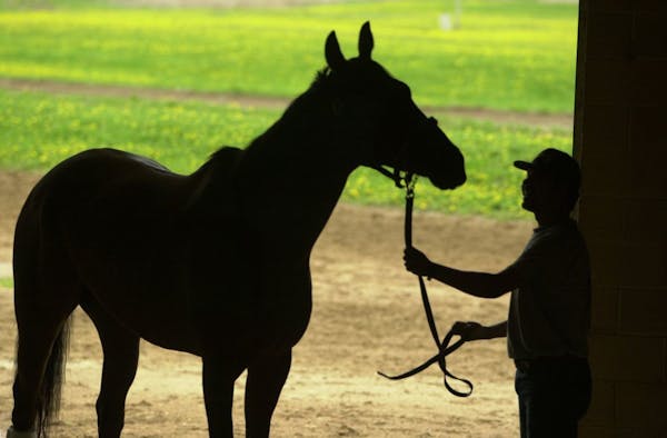 StribCast: State investigating racing commission