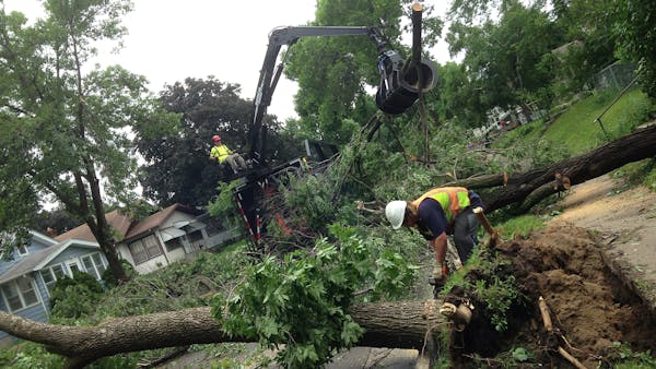 Storm brings down trees and more in Minneapolis