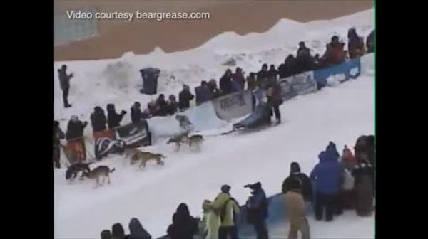 Sled dog marathon goes on, despite cold