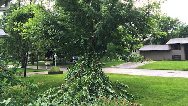 Storms again pound Twin Cities