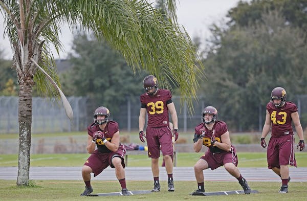 Olson says Gophers are loving the Florida weather