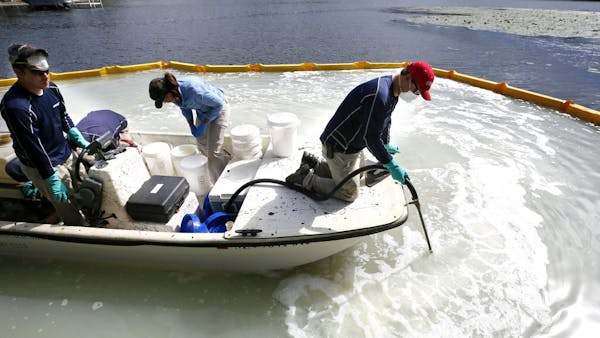 Minnesota leads the way in effort to kill off zebra mussels