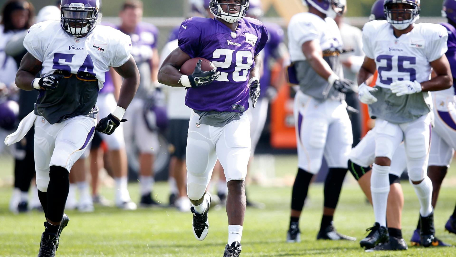 Although he won't predict a number, Vikings running back Adrian Peterson is confident that his carry total will be high in the upcoming season.