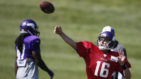 Cassel and Turner talk about Vikings offense without Peterson