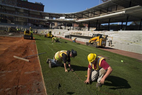 Downtown St. Paul gets greener with sod at CHS Field