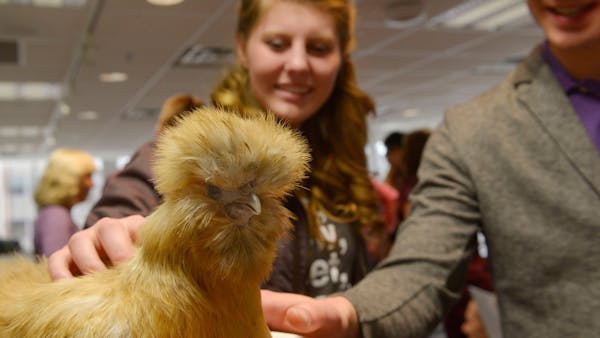 U students relieve stress with furry friends