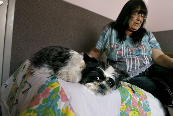 Many women's shelters are allowing pets