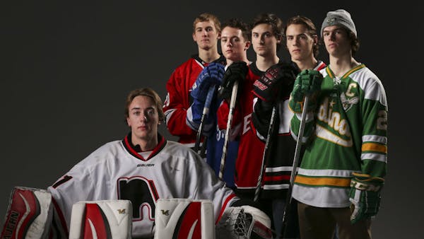 Star Tribune's All-Metro boys' hockey team chosen